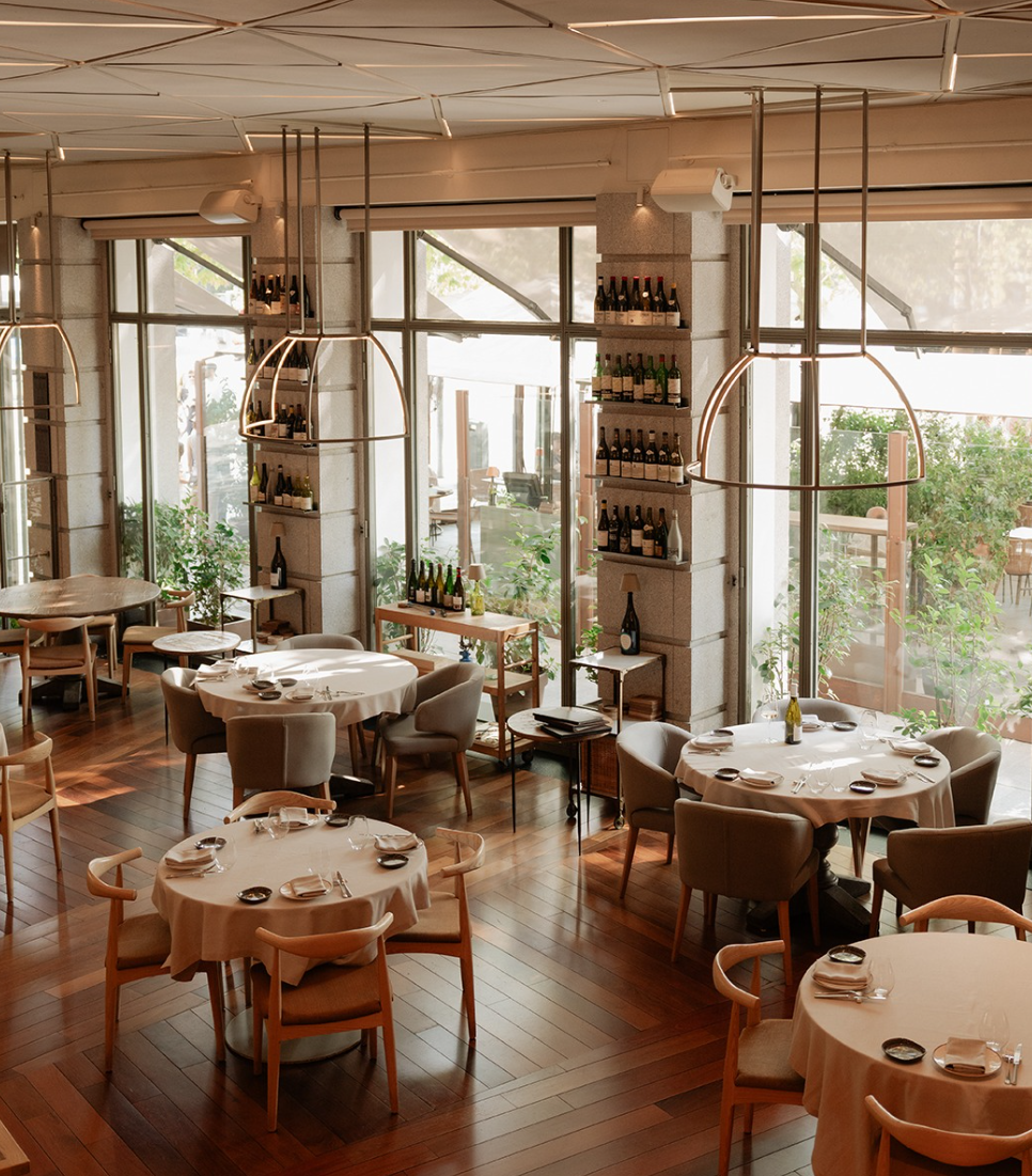 Best Wine Bars in Salamanca, Madrid (2026) | Coravin Guide
