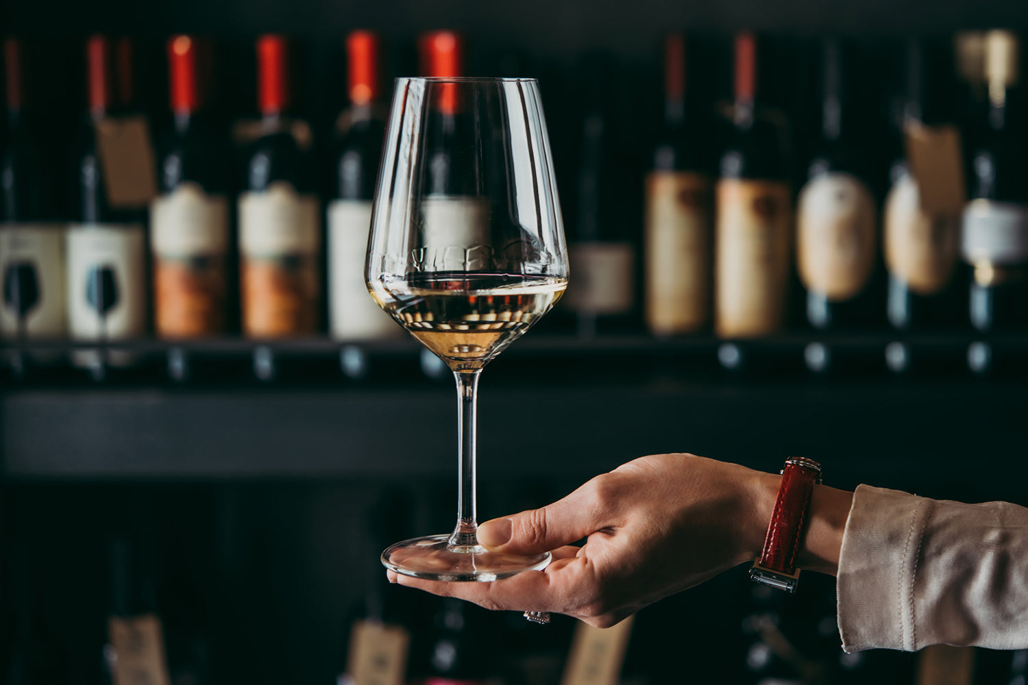 what is a sommelier: sommelier hand holding glass of white wine