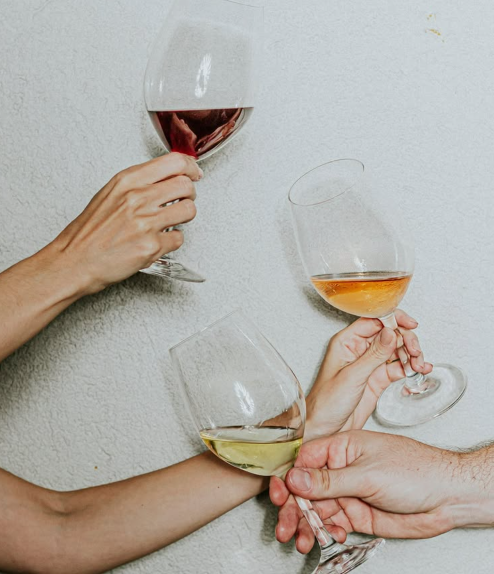 Bardega Wine Bar