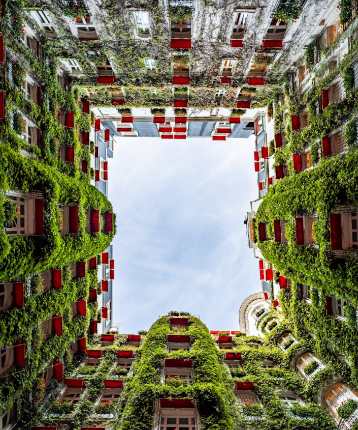 La Cour Jardin