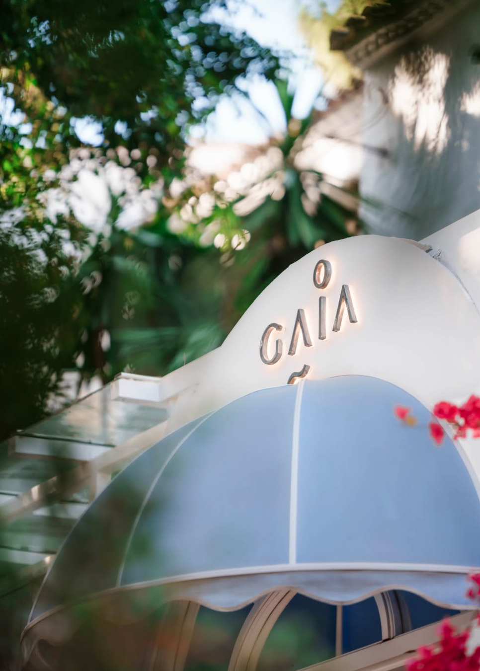 Gaia